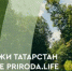 Поддержите Татарстан во Всероссийском конкурсе на создание туристско-рекреационных кластеров и развитие экотуризма в России! - Тетюшский район