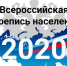 Первая цифровая всероссийская перепись населения: какой она будет? - Тетюшский район