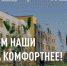 Голосуйте за общественные пространства! - Тетюшский район