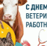 Поздравление Главы Тетюшского муниципального района Р.Х. Сафиуллова с Днем ветеринарного работника - Тетюшский район