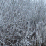 Синоптики предупредили о сильном тумане на территории Татарстана - Газета Тетюшские зори