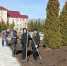 Новости культуры - Тетюшский район