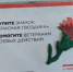 В Тетюшах проходит патриотическая акция «Красная гвоздика» - Газета Тетюшские зори