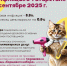 Инфляция в Татарстане в сентябре 2025 - Газета Тетюшские зори