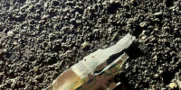 В Красногорске ребёнок подорвался на взрывном устройстве, замаскированном под купюру: возбуждено уголовное дело - Газета Тетюшские зори