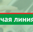 Телефонная «горячая линия» для населения по вопросам защиты прав граждан с инвалидностью совместно с объединением женщин депутатов Государственного Совета Республики Татарстан «Мэрхэмэт -Милосердие» - Тетюшский район
