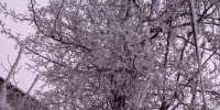 В Татарстане в ночь на 15 января похолодает до -21 °C - Газета Тетюшские зори