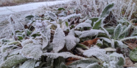 Днем в Татарстане, 15 января, ожидается до −17 °C - Газета Тетюшские зори