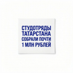Студотряды Татарстана собрали почти 1 млн рублей